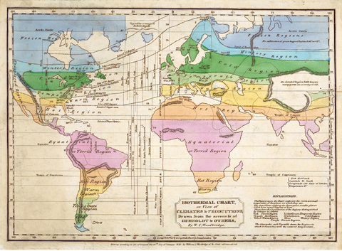 South American, Latin American, African: What’s the Difference?